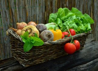 Co to są produkty fermentowane?