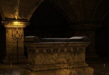 Co ile zmieniać psu karmę?