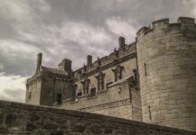 Jak mieszanie karmy suchej z mokrą?