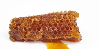 Czy kit pszczeli to propolis?
