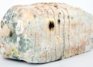 Jak dezynfekować szczotki i grzebienie? Jak dezynfekować szczotki i grzebienie?