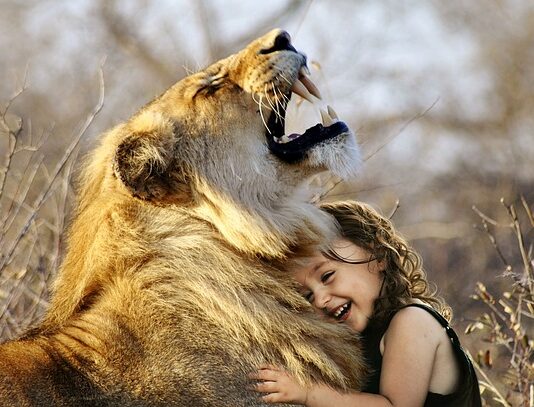 Jaka jest najlepsza szczotka do włosów? Jaka jest najlepsza szczotka do włosów?