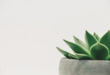 Co zrobić żeby kiełbasa była soczysta?