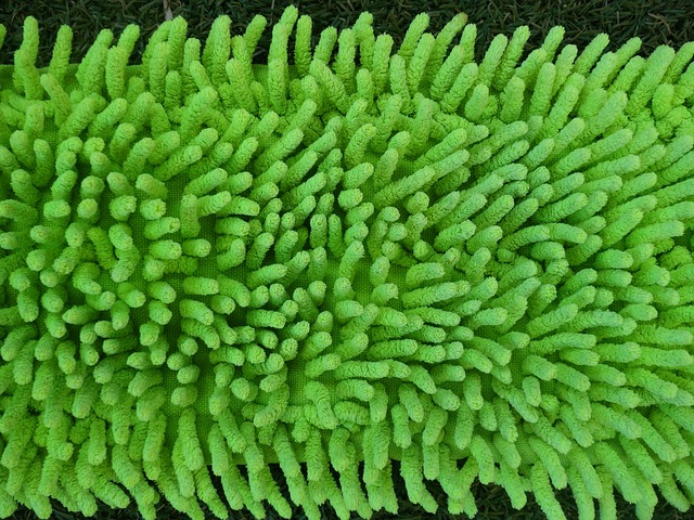 Czy można wlać płyn do mopa parowego? Czy można wlać płyn do mopa parowego?