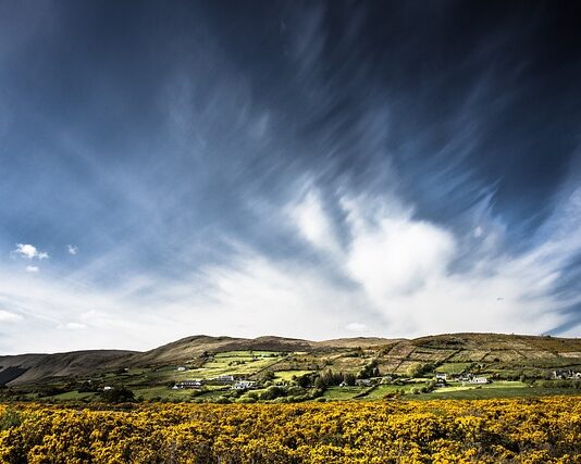 Jak zrobić miotłę z bibuły? Jak zrobić miotłę z bibuły?
