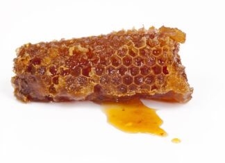 Na jakie choroby działa propolis?