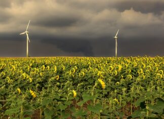 Jaka jest kolejność sprzątania mieszkania?
