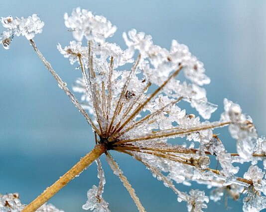 Czy barszcz czerwony podnosi cukier? Czy barszcz czerwony podnosi cukier?
