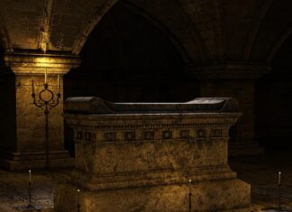 Jak często powinno się zmieniać szczotkę do włosów?