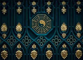 Ile suchej i mokrej karmy dla kota?