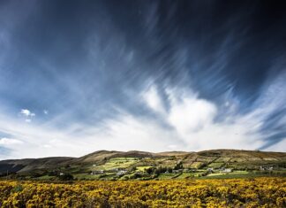 Jaka miotła do kostki brukowej?